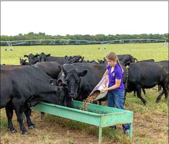 Study Away-Animal Science Tour