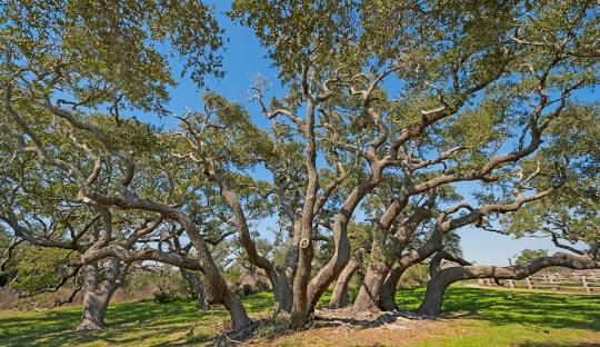 Goose Island State Park