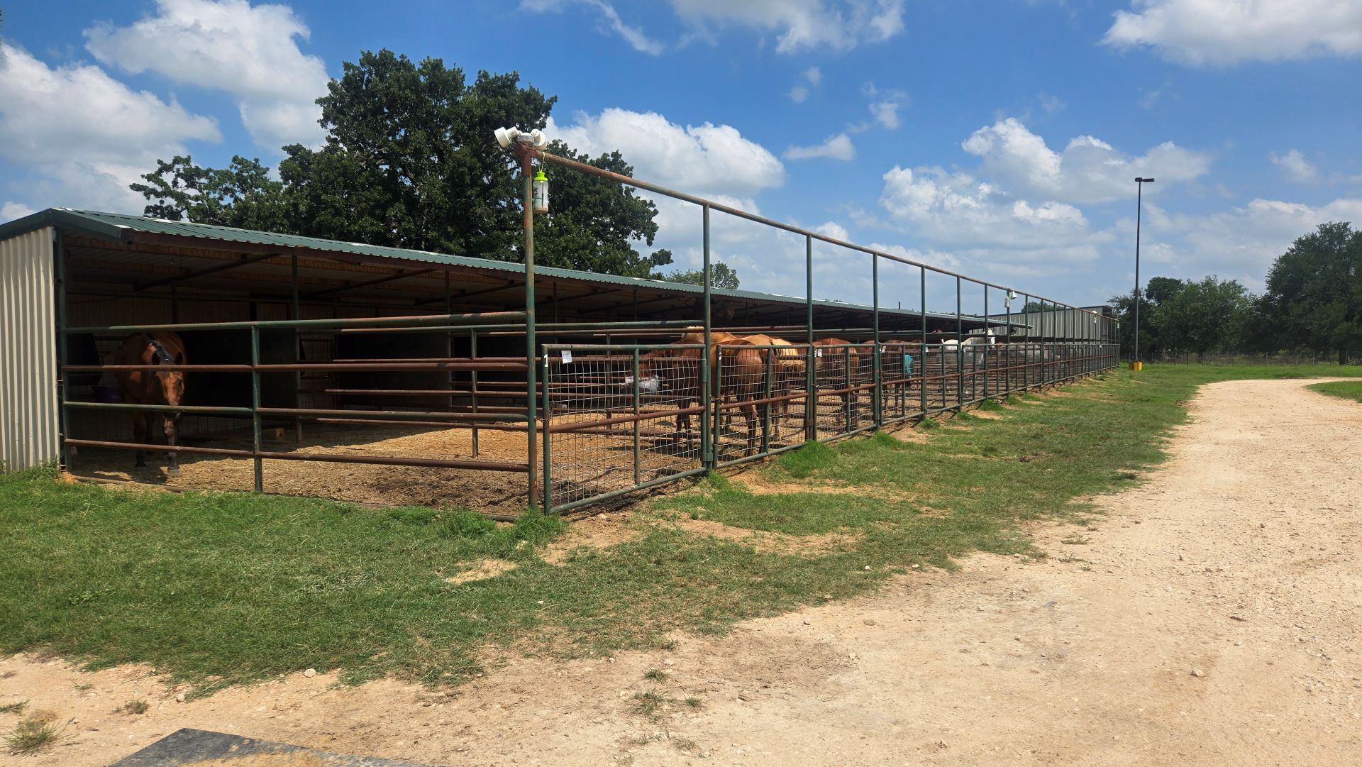 Ag Annex Stall Rental