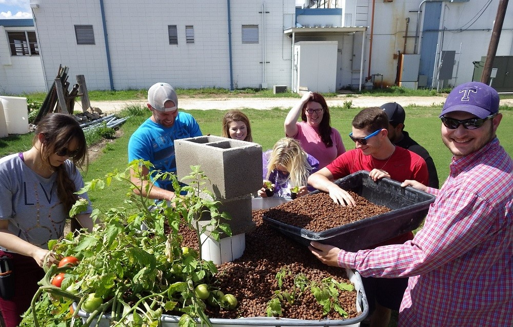 Aquaponics Adult Workshop