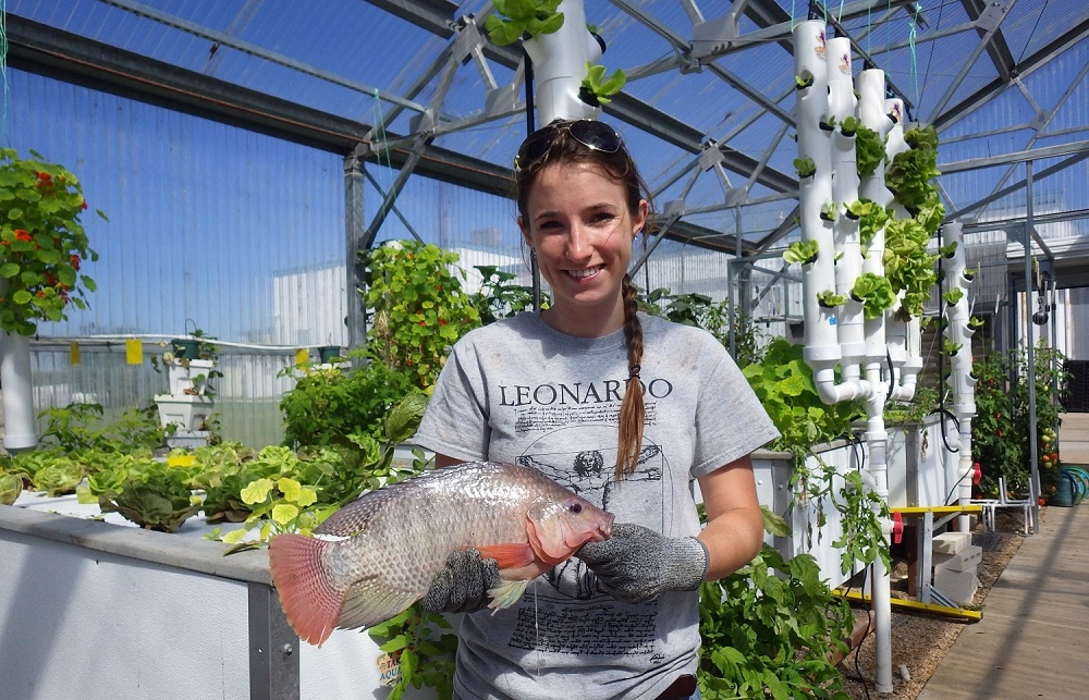 Aquaponics Youth Camp